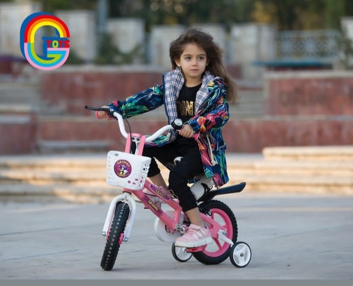 بسته‌بندی اورجینال دوچرخه کودک ۱۲ سونیک بهمراه تکیه گاه همراه با مشخصات فنی محصول