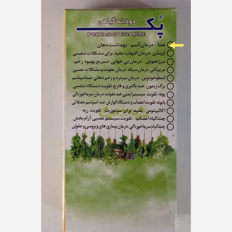 تصویر دودانه نعنا 10 عددی با نورپردازی مناسب و نمای واضح محصول