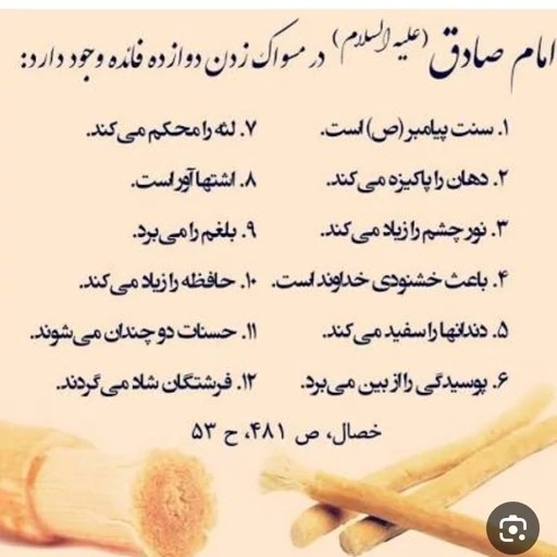 تصویر تخصصی چوب مسواک چوب اراک الفیضان با نمایش ویژگیها و جزئیات فنی