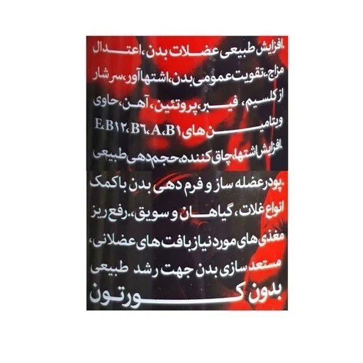 طراحی مدرن و استاندارد راشل آقایان در نمای کامل