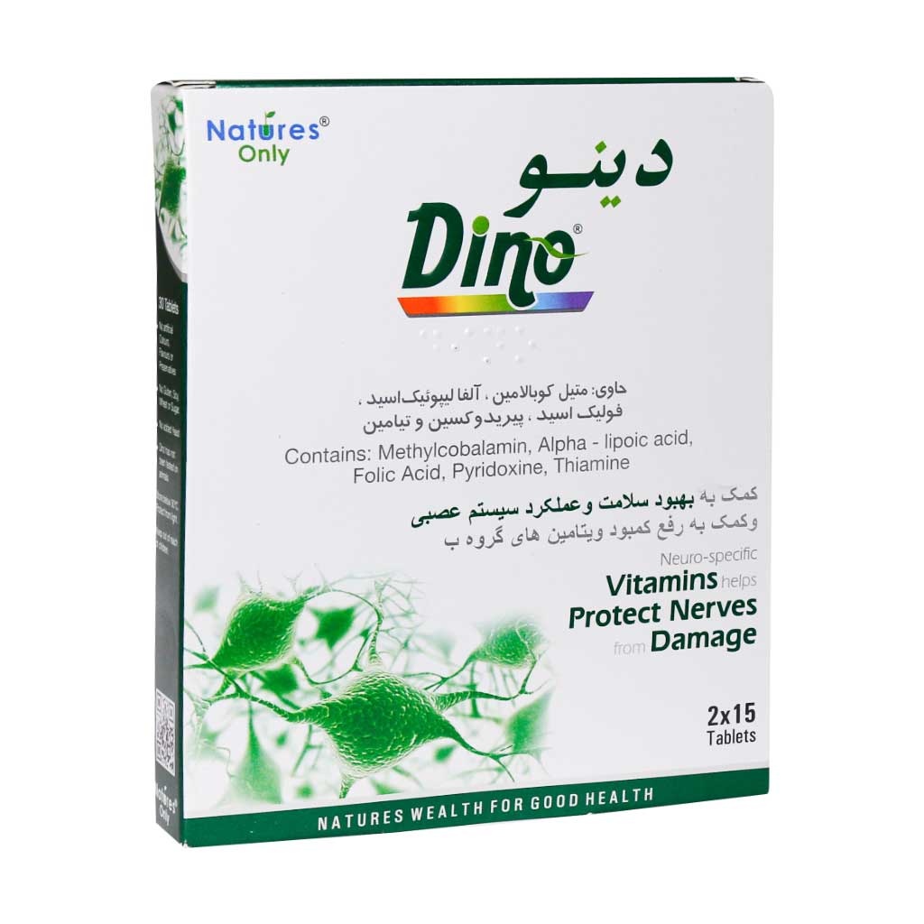 جزئیات کیفیت ساخت و متریال بهکاررفته در دینو